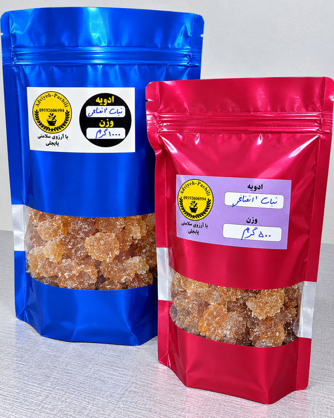 نبات دو آتیشه