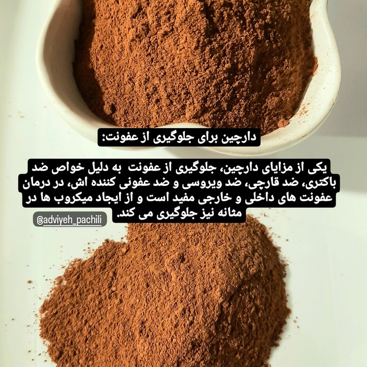 دارچین ( آسیاب شده ) اصل